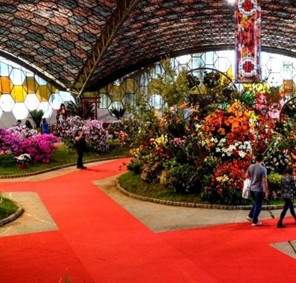 Fiesta de la Flor | Escobar